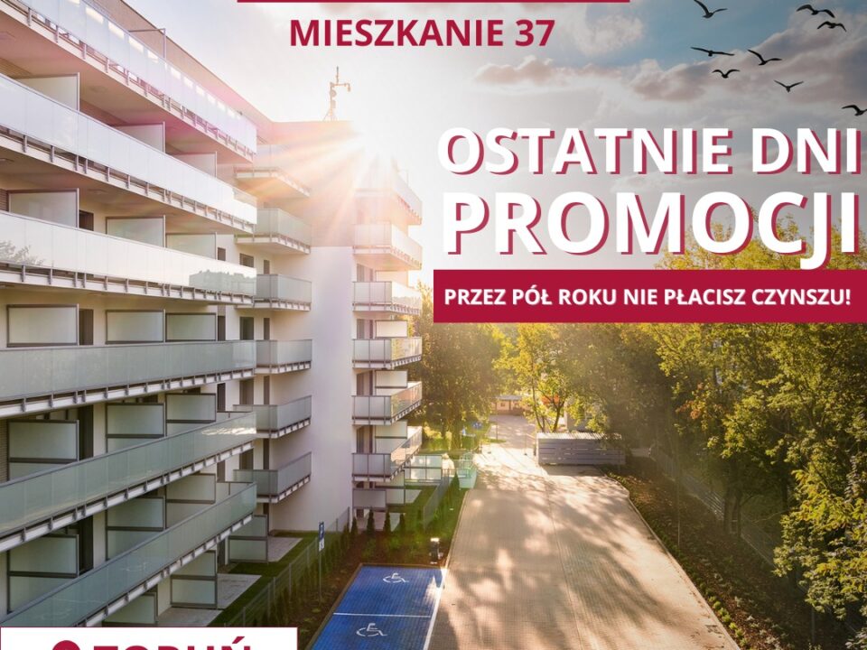 ostatnie dni promocji na rubinovej - pół roku czynszu za darmo